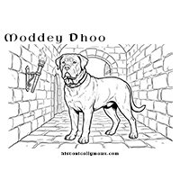 Moddey Dhoo colouring sheet